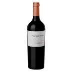 Mendoza Pascual Toso Selected Vines Malbec 2013
